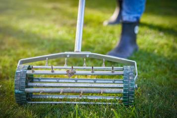Spiking lawn with fork discount